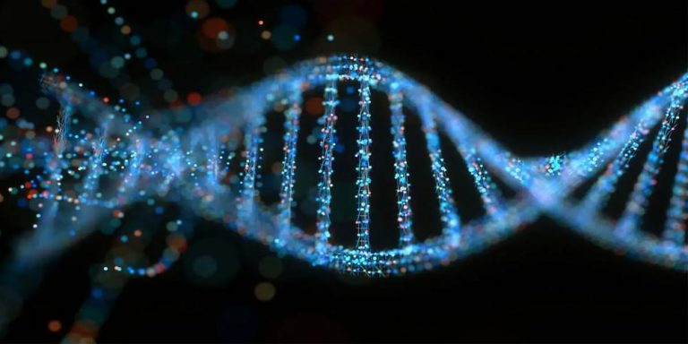 US scientists develop genetic word processor technology