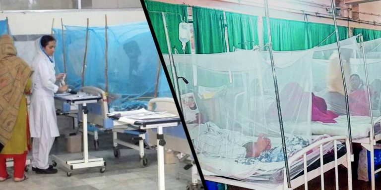 144 dengue cases registered in Karachi