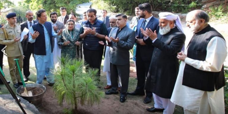 Kashmir freedom tree planted by pm