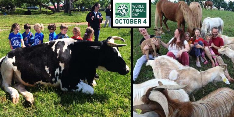 World Animal Day is celebrated on October 04
