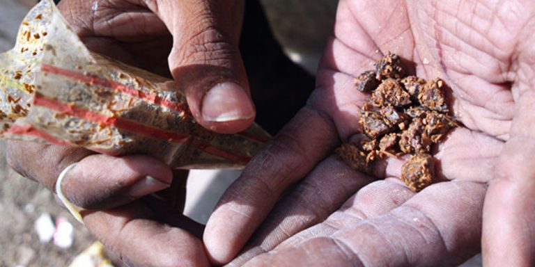 69 ‘Gutka’ factories are working in Karachi