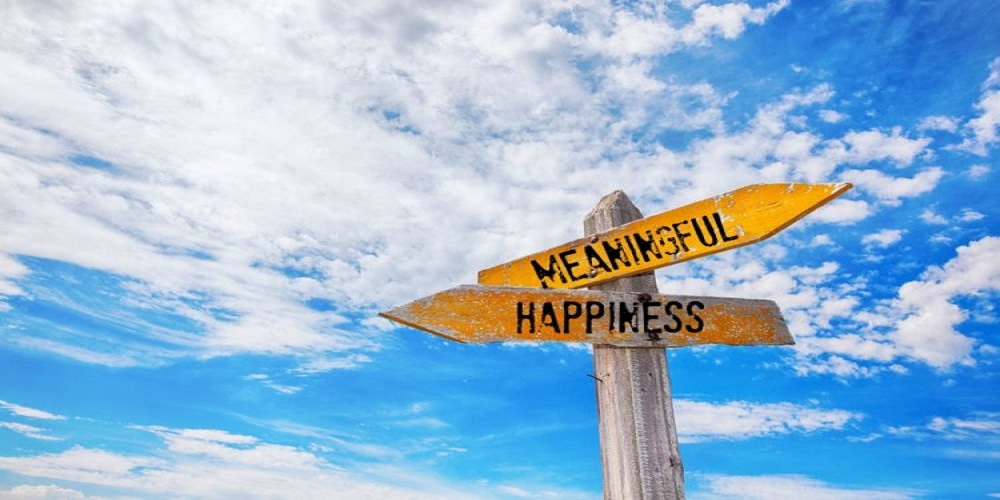 meaning in life