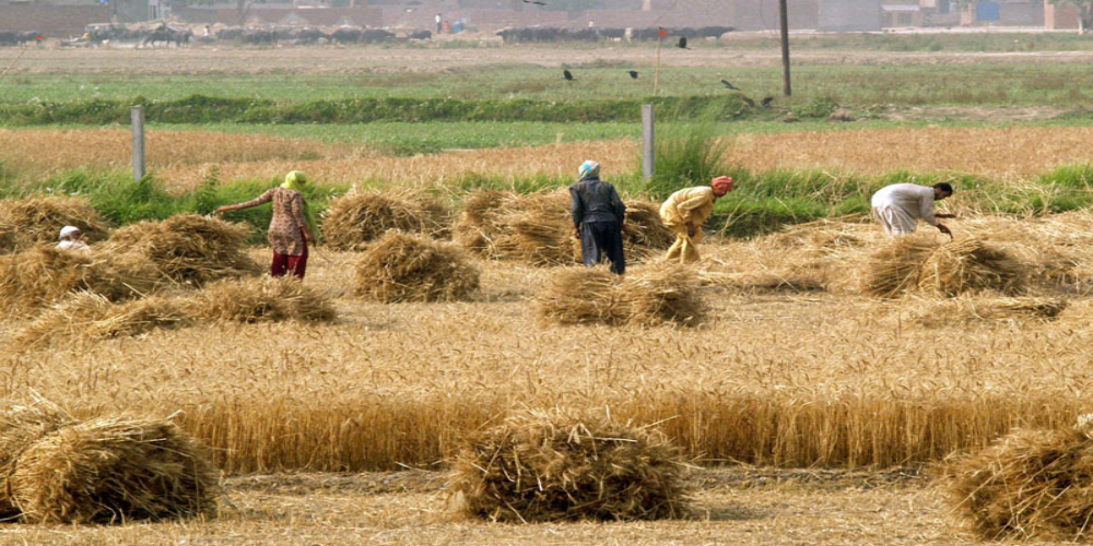 Agriculture