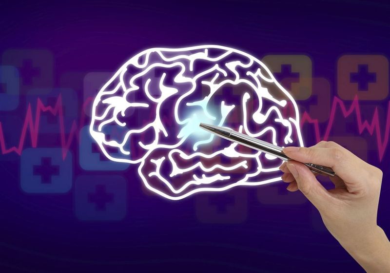 brain-like memory device