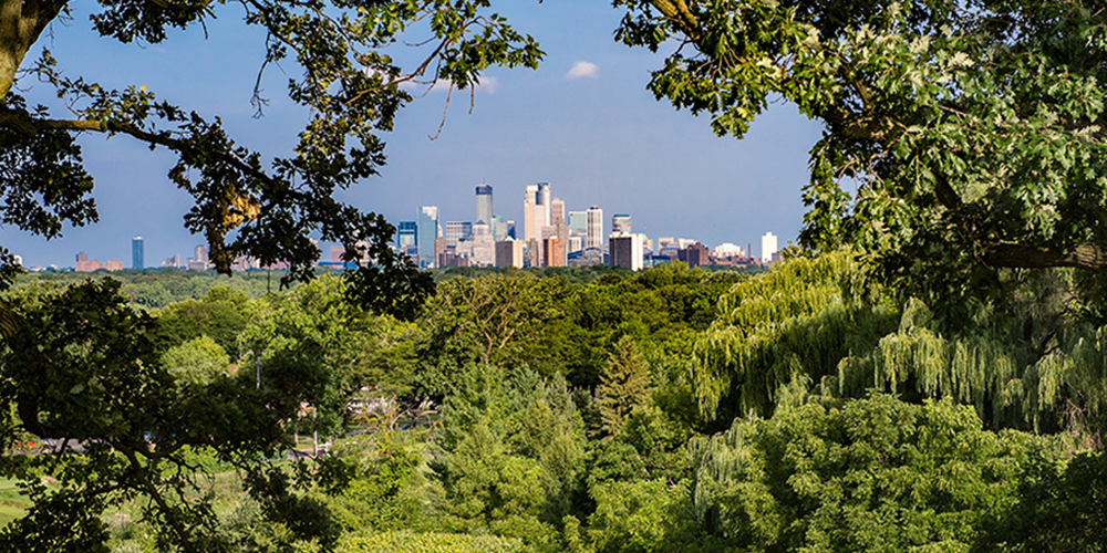 World’s largest urban forest