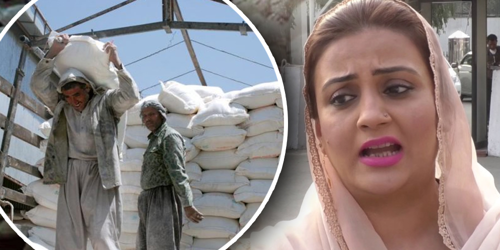 flour uzma biukhari