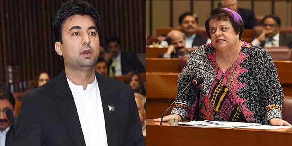 Murad Saeed, Shireen Mazari spoke over Kashmir issue