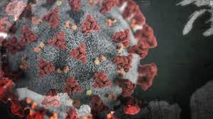 coronavirus cases Pakistan