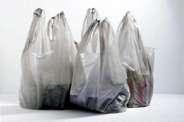 Polythene bags