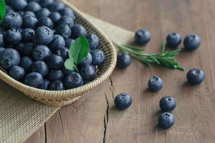 Fruits Blueberry