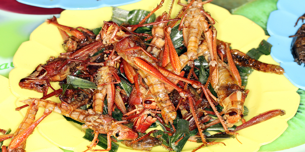 locust fry recipe
