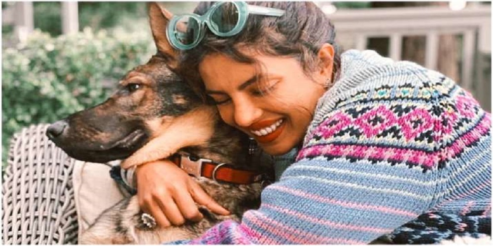 "I promise Gino loves my cuddles" Priyanka Chopra shares love with her pet