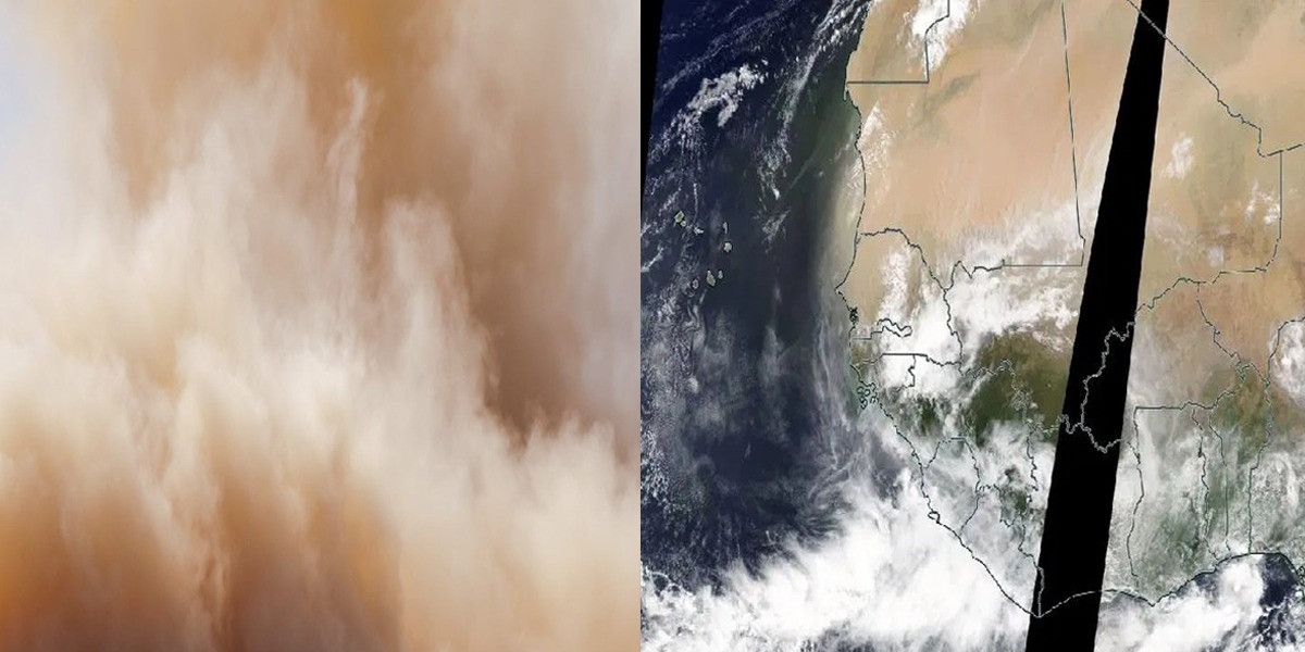 Sahara dust is moving towards Central America