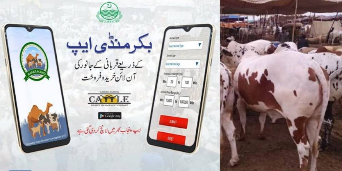 Punjab Govt launches Bakra Mandi App for Online Purchase of Sacrificial Animals