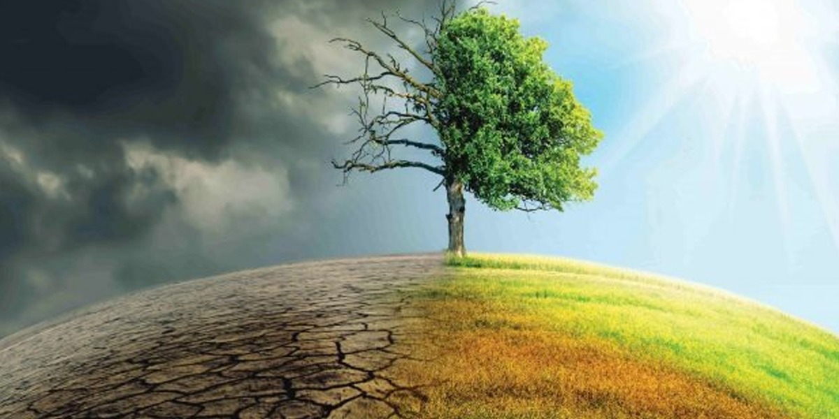 Climate change: Pakistan surpassed developed countries by achieving target 10 years ago