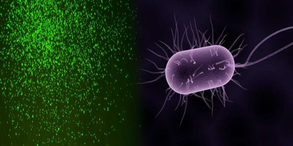 Scientists revive dormant microbes after 100 million years