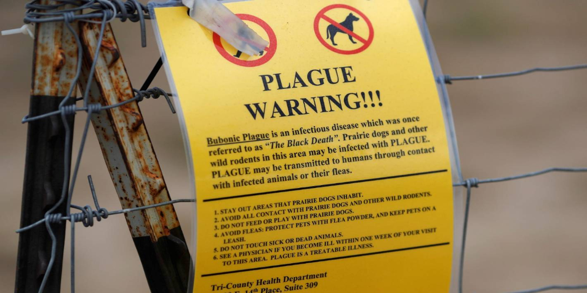 Young man dies of plague in Mongolia