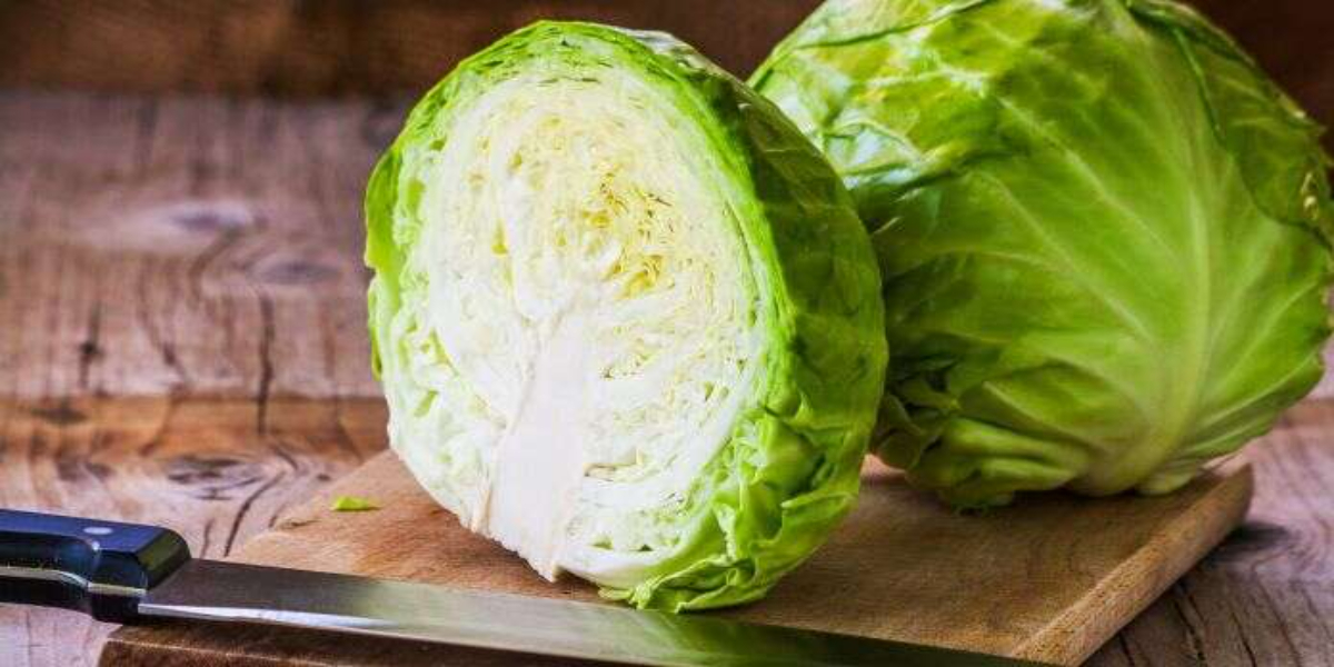 Cabbage health benefits