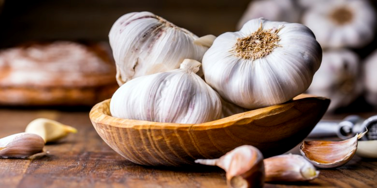 Garlic