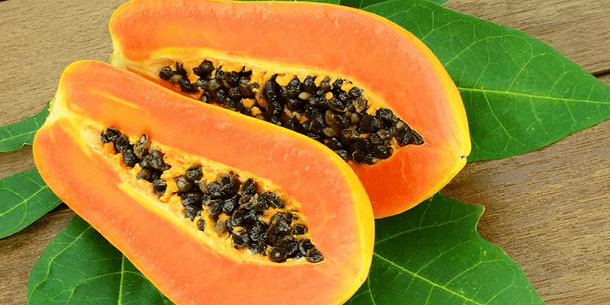 Papaya: A fruit that provides incredible benefits