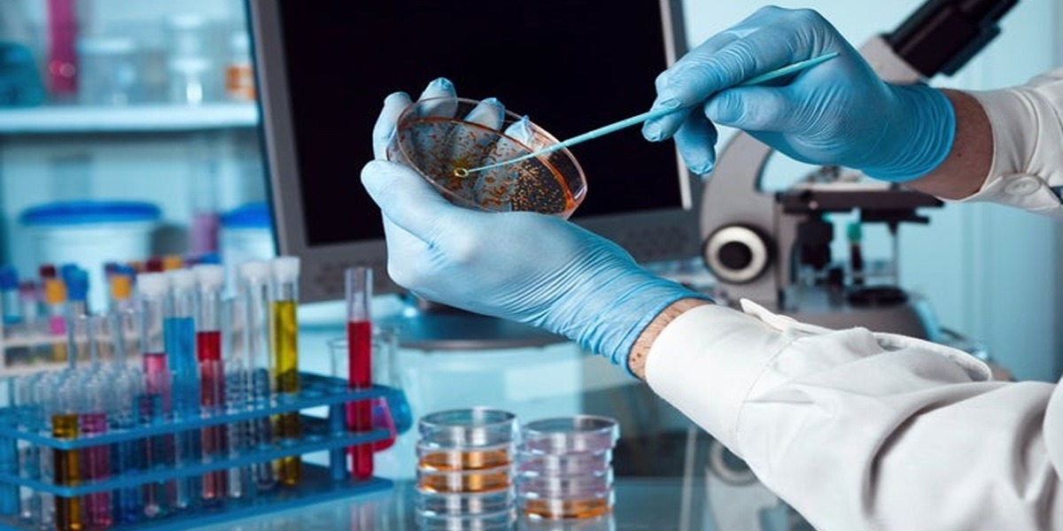 KP to set up forensic agency to expedite criminal investigations