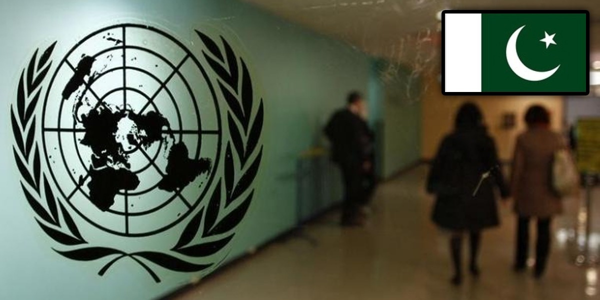Pakistan Wins UN’s Committee for Programme and Coordination Election