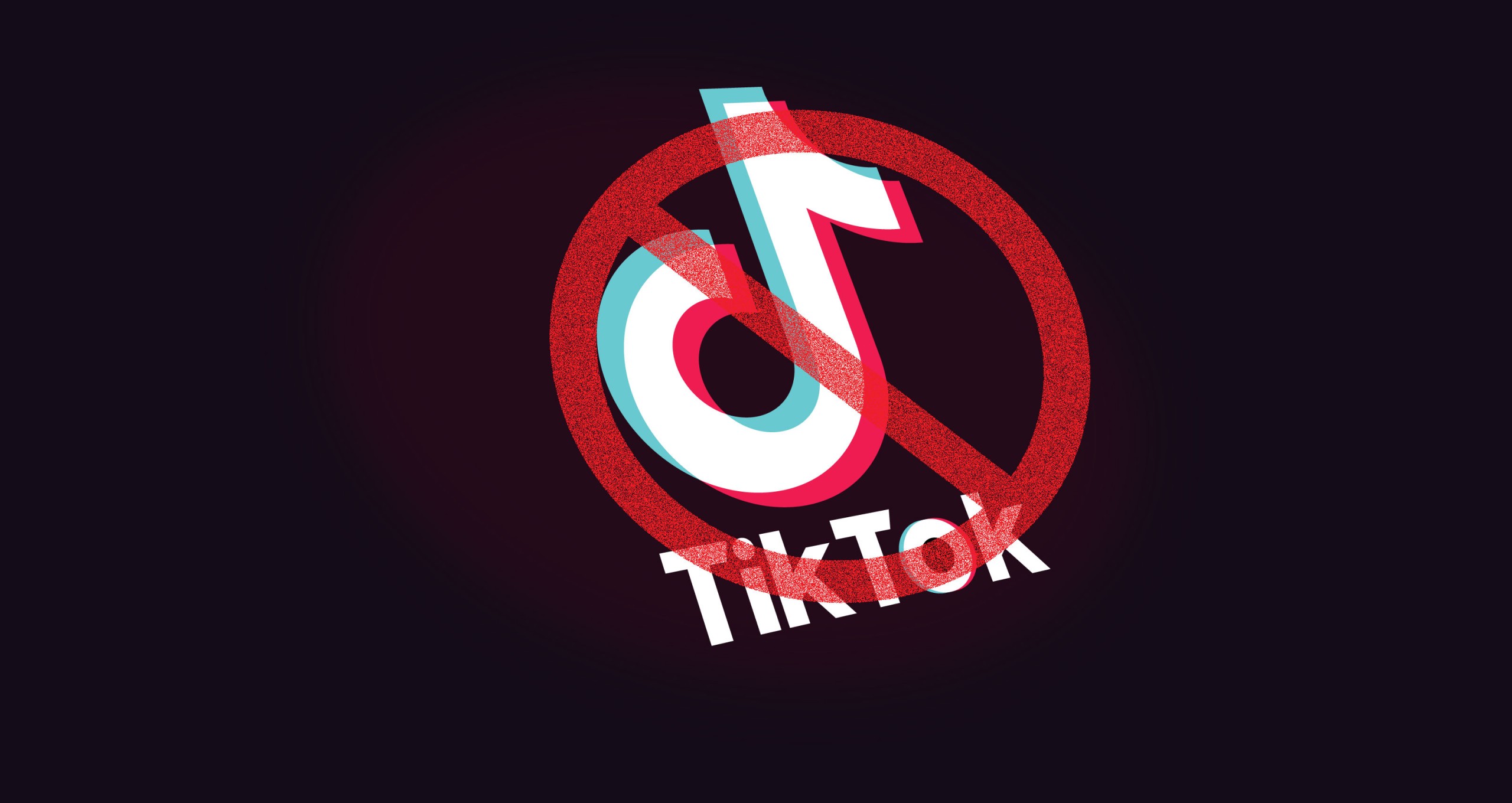 Sindh High Court Orders Banning TikTok In Pakistan