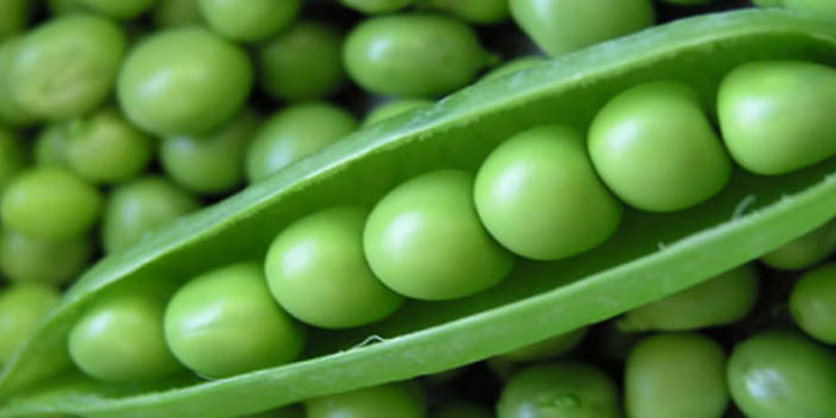 Peas health benefits