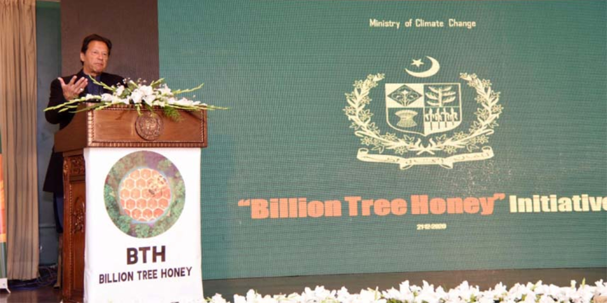 Billion Tree Honey PM new project