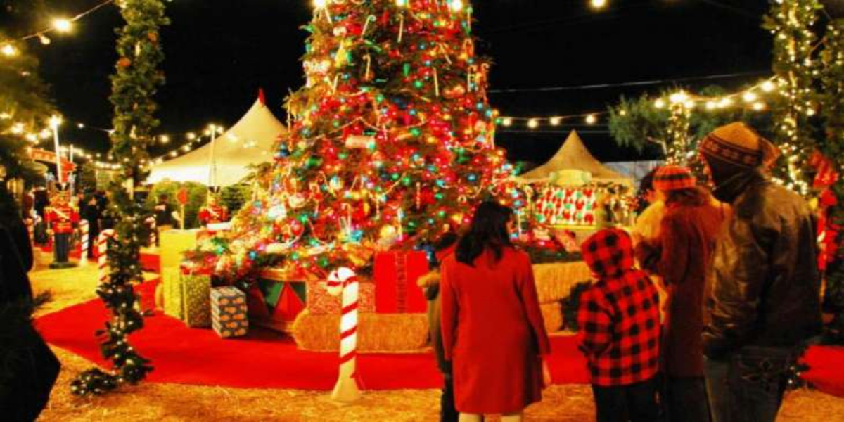 Christmas 2020 special guidelines