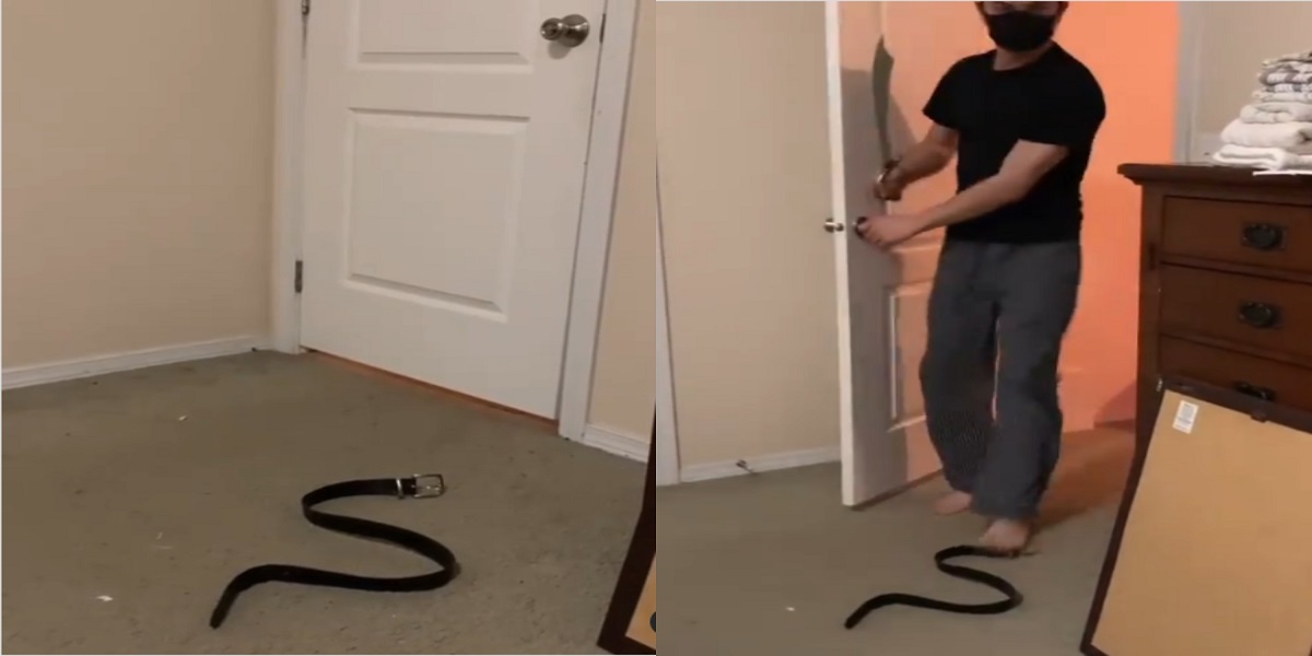 Woman pranks husband with fake ‘snake’