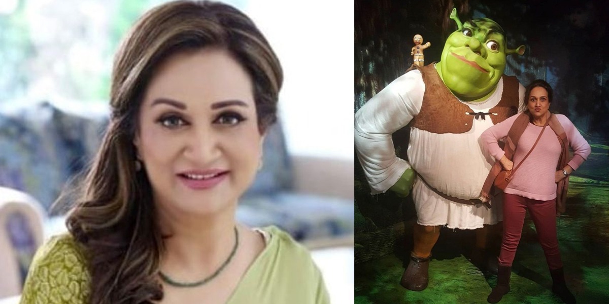 Bushra Ansari bashed