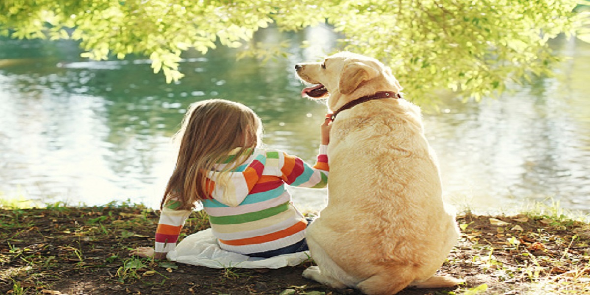 SARS-CoV-2 infection might be more common in pets