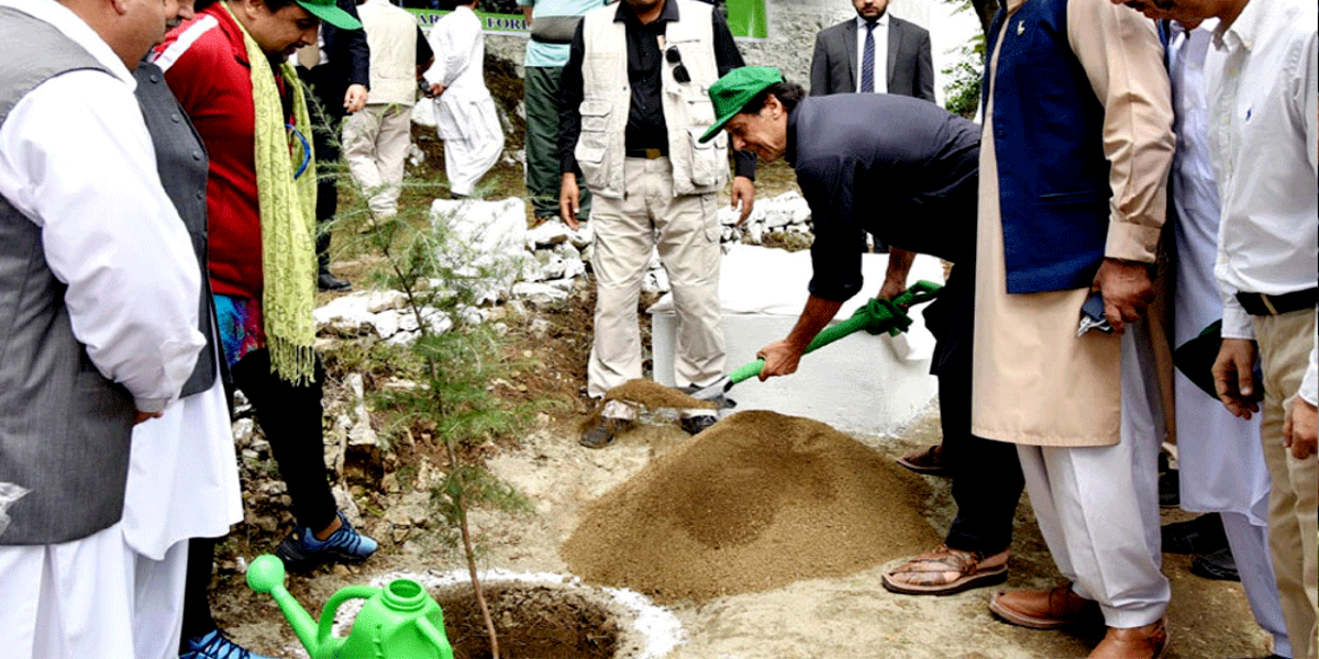 PM Imran