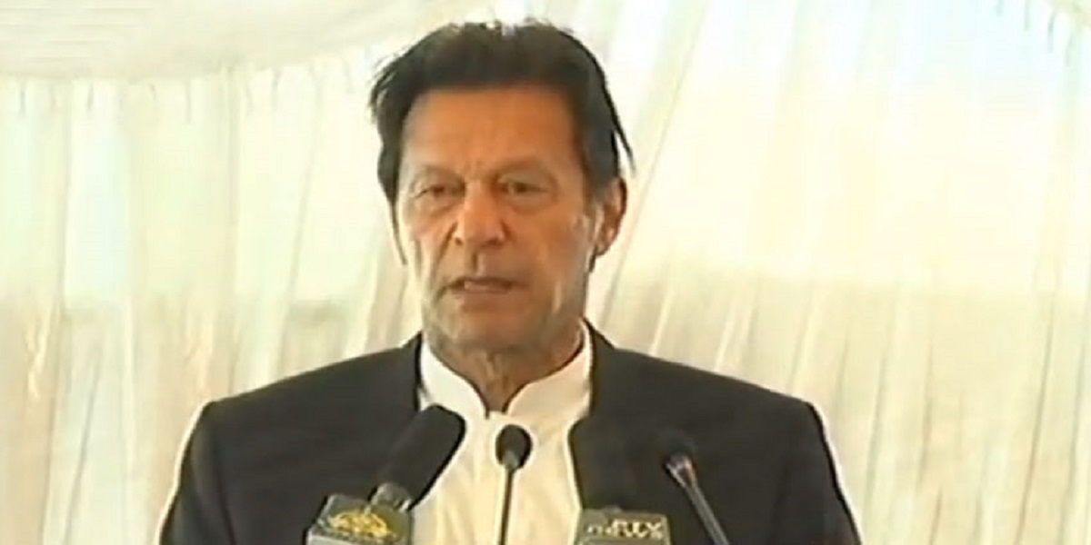 Olive plantation Imran Khan