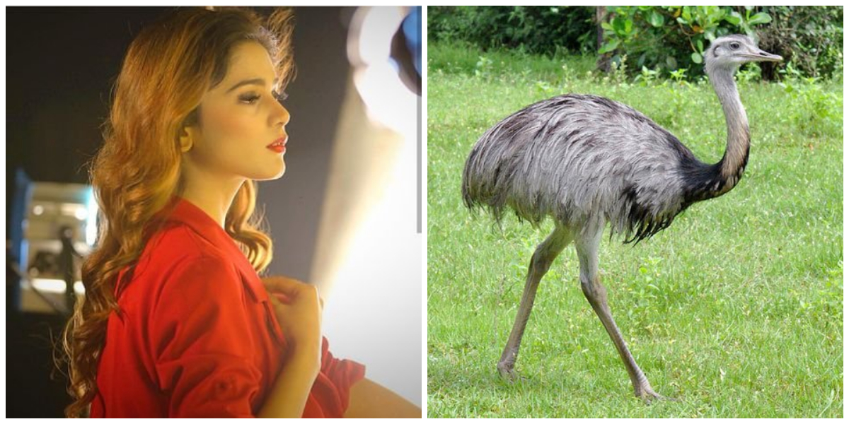 Aima Baig Ostrich
