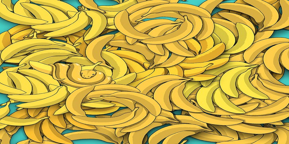 Can you find a snake among these bananas?