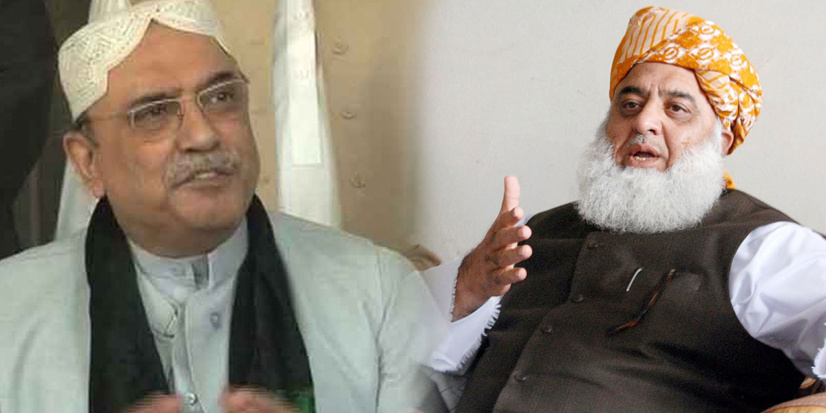Asif Zardari, Fazlur Rehman Agree To Maintain PDM Alliance