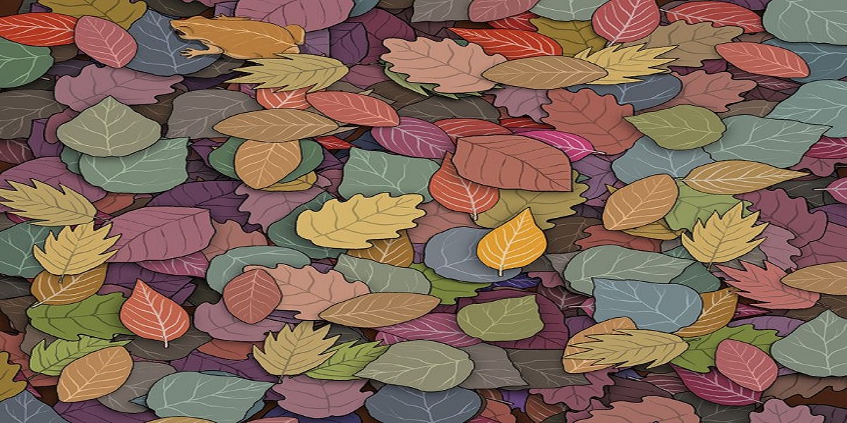 Can you find a toad between these leaves?