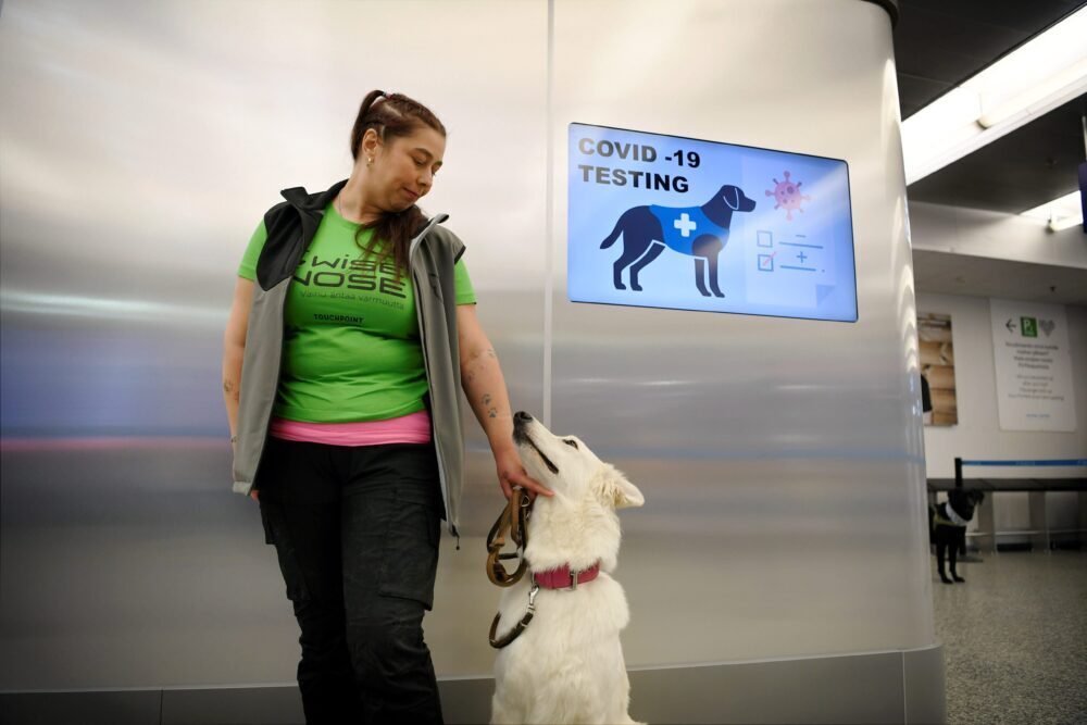 Dogs Can Detect COVID-19
