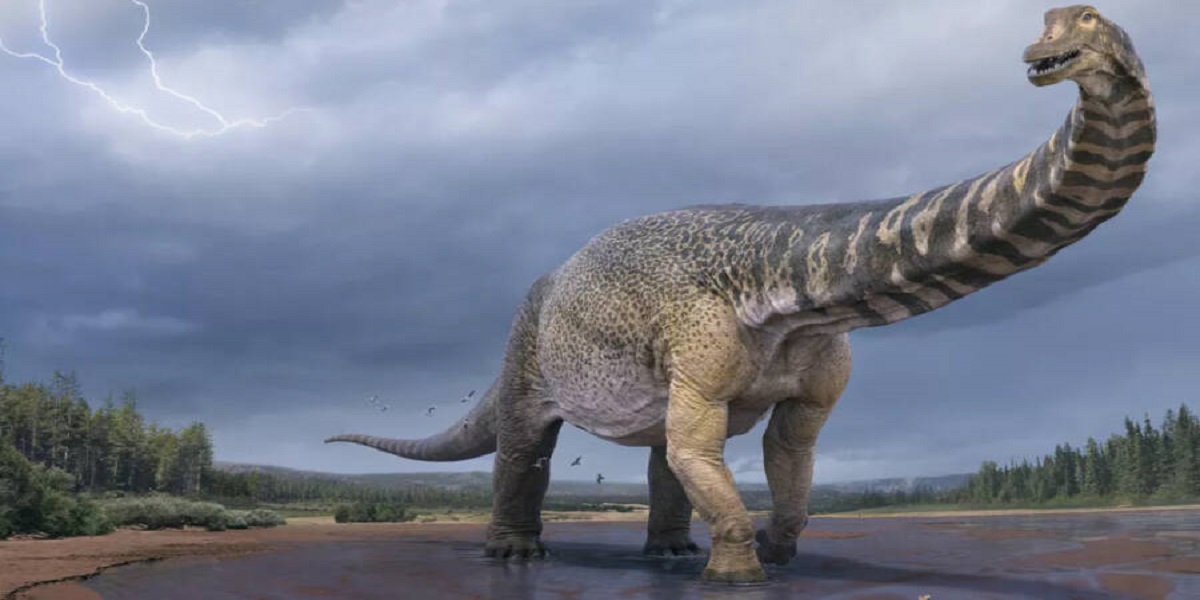 dinosaur