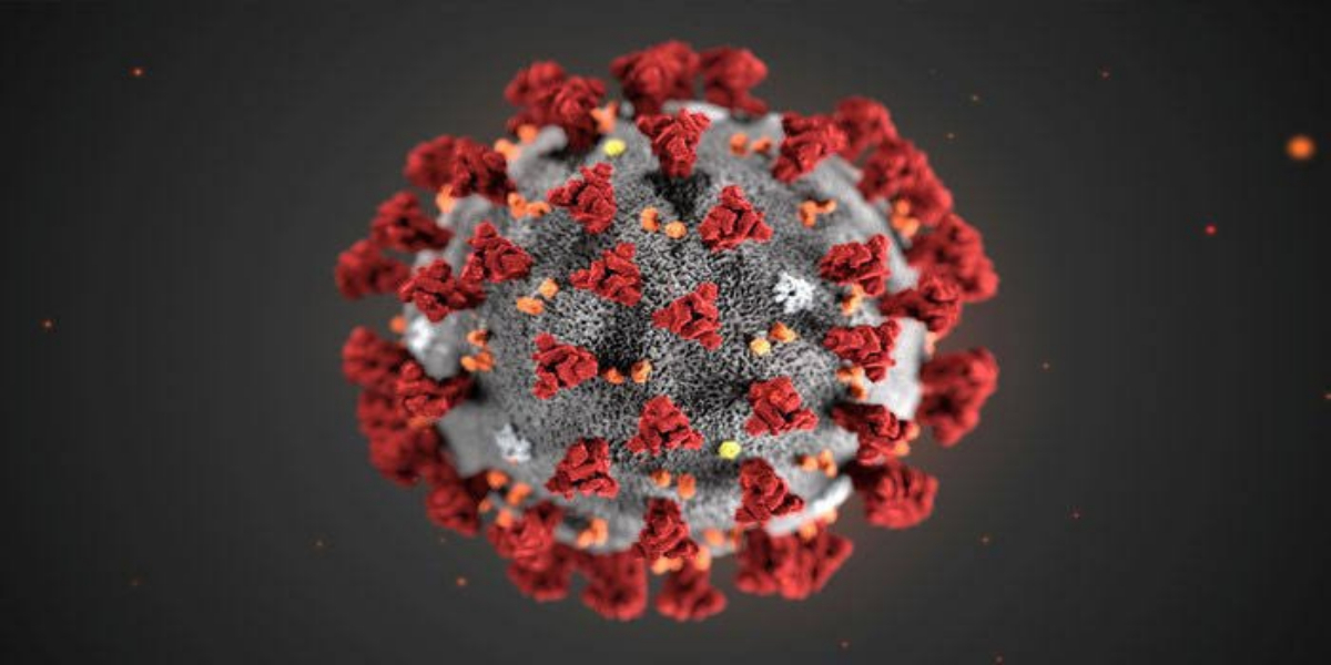 Indian and South African variant of Coronavirus