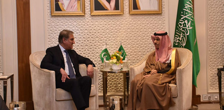 shah mehmood with saudi