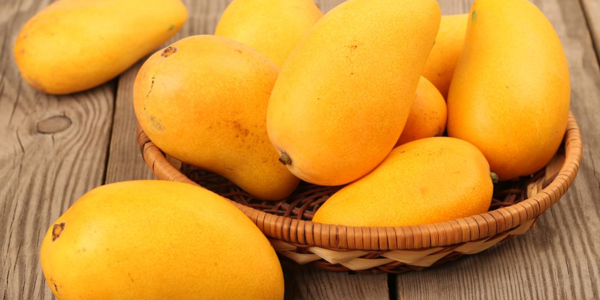 Pakistan Foreign Office Clarifies Reports Regarding Mango Diplomacy