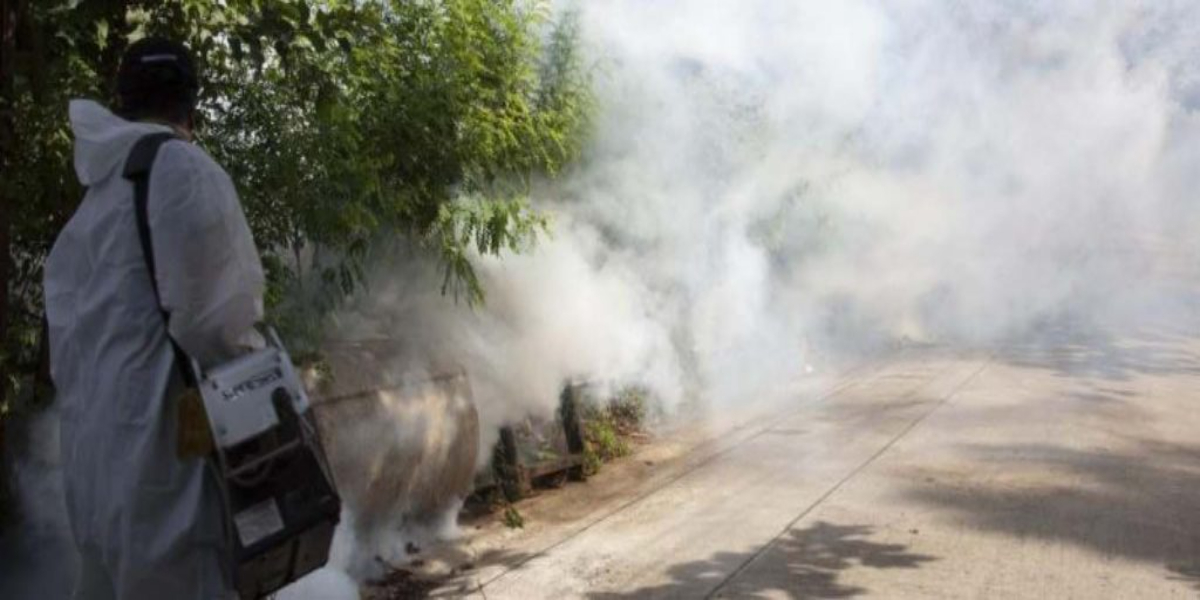 Fumigation Campaign