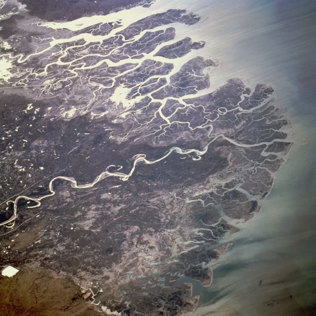 indus delta