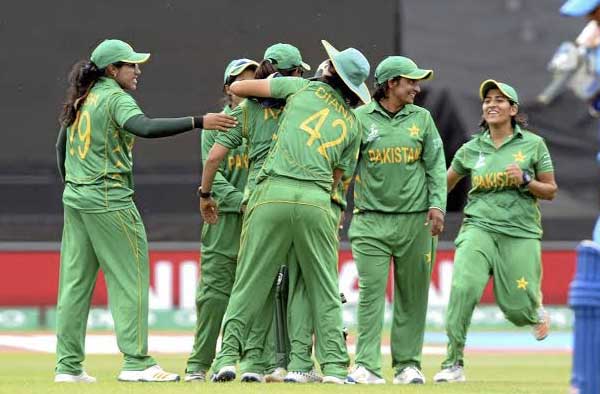 cricket