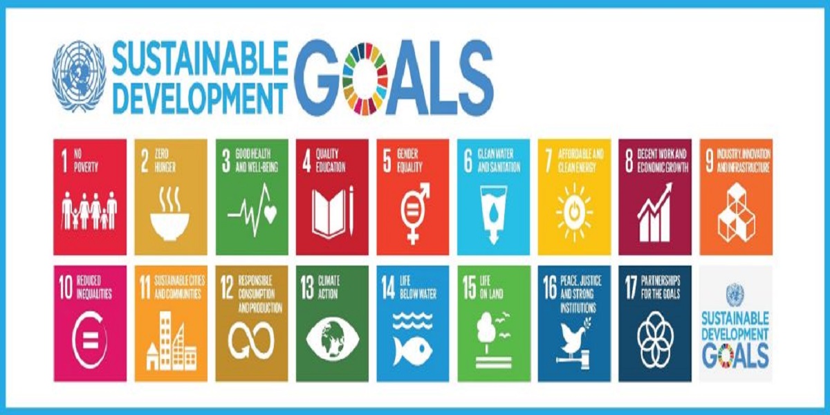 Pakistan seeks support for middle-income countries to achieve SDGs