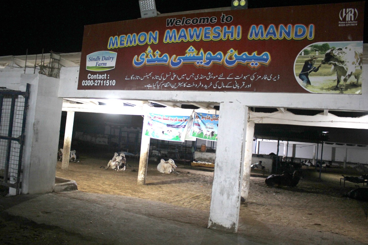 Cow Mandi 2021