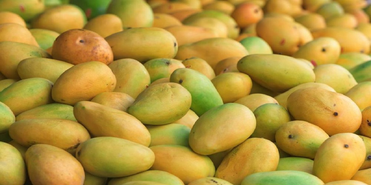 Pakistan expects mango exports of up to 160,000 tonnes this year: adviser